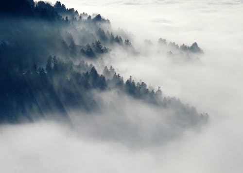 什么行业最赚钱有发展前景