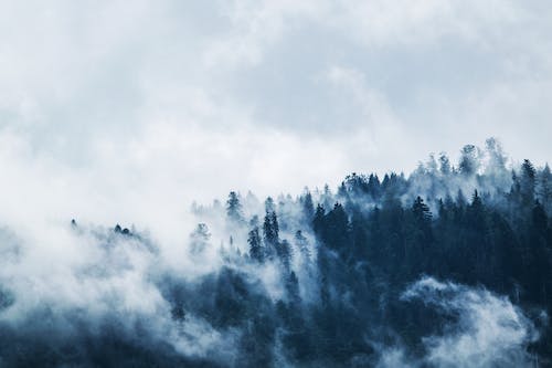 买卖二手房需要缴纳哪些费用