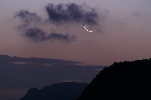农村的养殖业_1